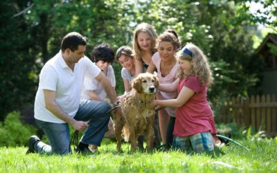 A family washing a golden retriever in a sunlit green backyard